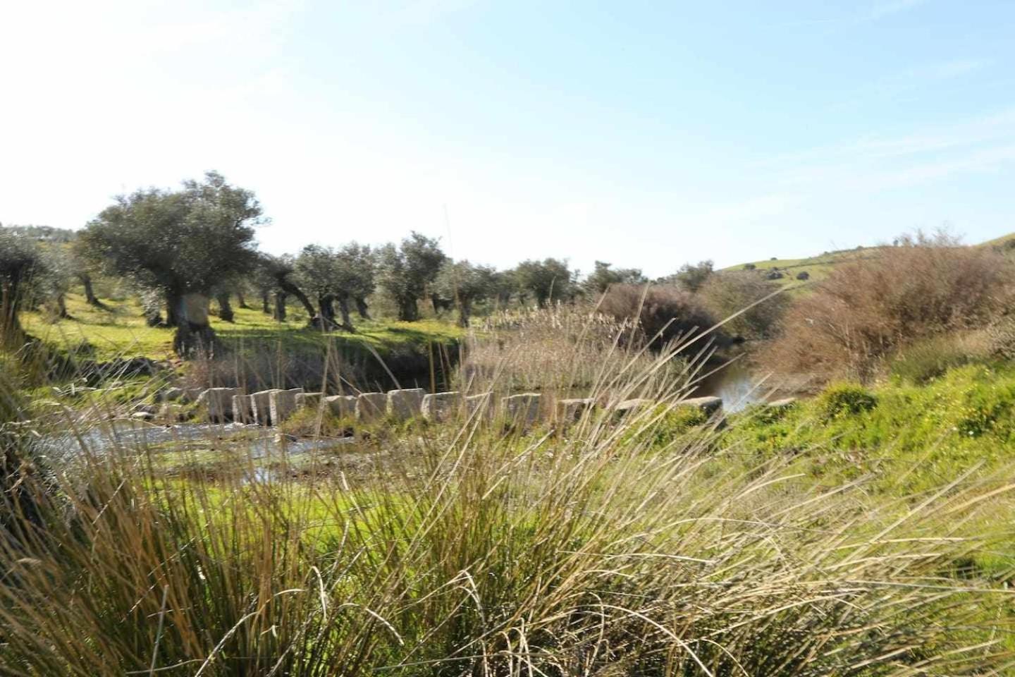 El Olivar Agloipe Ahigal Trcc Kültér fotó