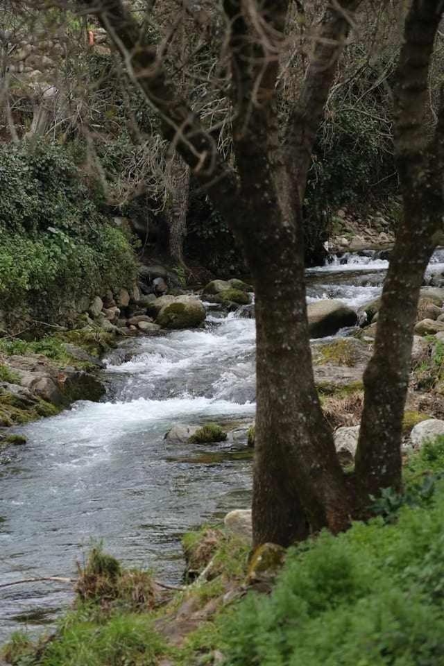 El Olivar Agloipe Ahigal Trcc Kültér fotó